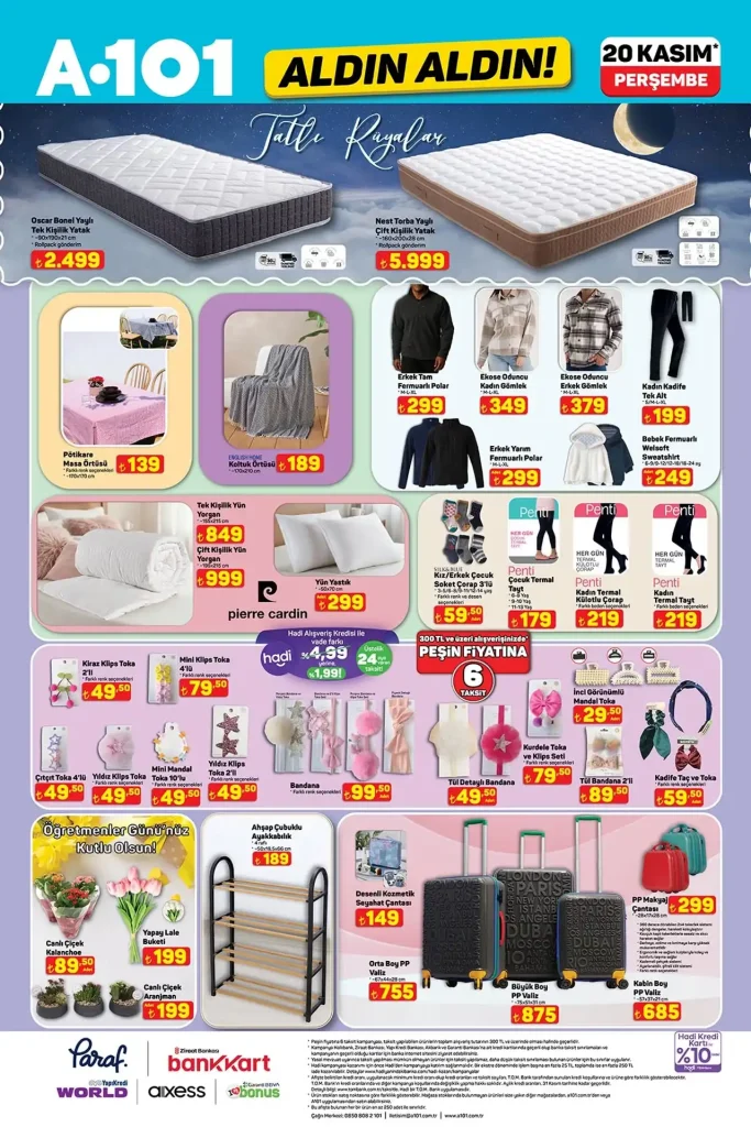 A101 20 Kasım 2025 Kataloğu: Dünya TV Günü Özel İndirimleri ve Tiny House Fırsatları